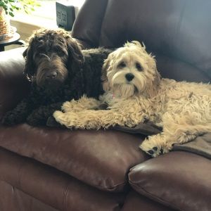 Meet your Posher, Michelle